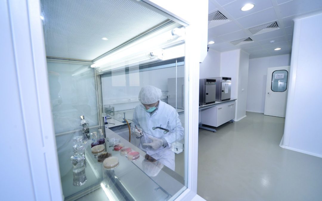Fume Hood Purpose and Importance
