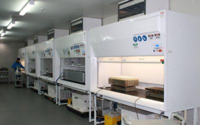 How to effectively use your laboratory fume cupboard